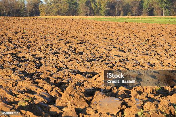 Gepflügtes Feld Im Herbst Stockfoto und mehr Bilder von Agrarland - Agrarland, Braun, Erdreich