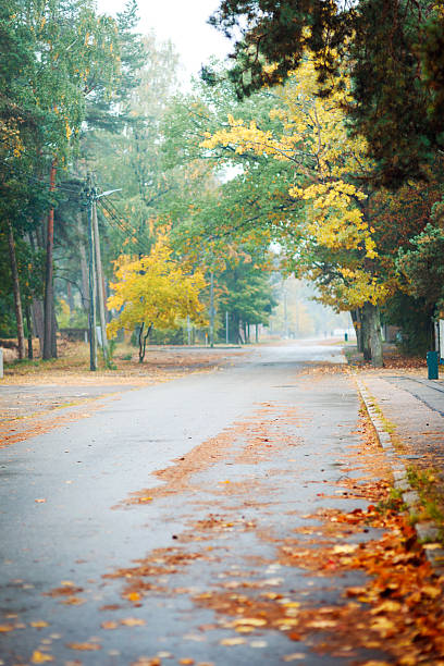 istock Autumn Street 451802515