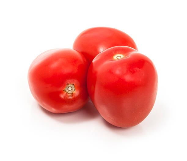 roma pomidory na białym tle - plum tomato obrazy zdjęcia i obrazy z banku zdjęć