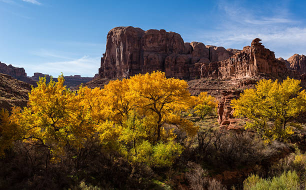 istock Canyon Scenic with Fall Colors and Red Rock Walls 451806447