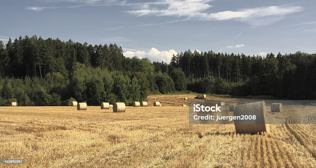Hay bales auf Stoppelbart field - Lizenzfrei Agrarland Stock-Foto