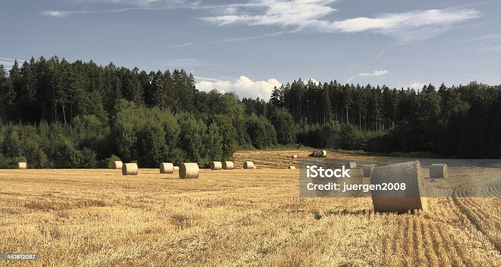 bales Champ de foin à Barbe de 3 jours - Photo de Agriculture libre de droits