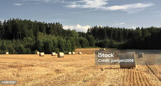 Photo libre de droit de Bales Champ De Foin À Barbe De 3 Jours banque d'images et plus d'images libres de droit de Agriculture - Agriculture, Allemagne, Blé