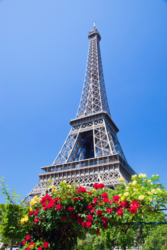 A tree and plants framing the Eiffel Tower steel structure in Paris, France.