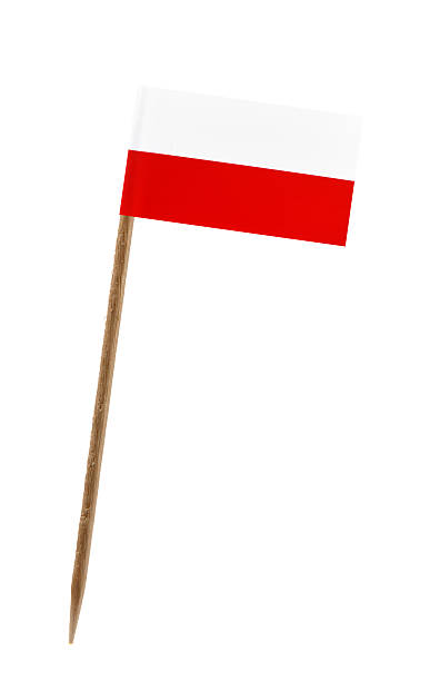 istock Flag of Poland 451817653