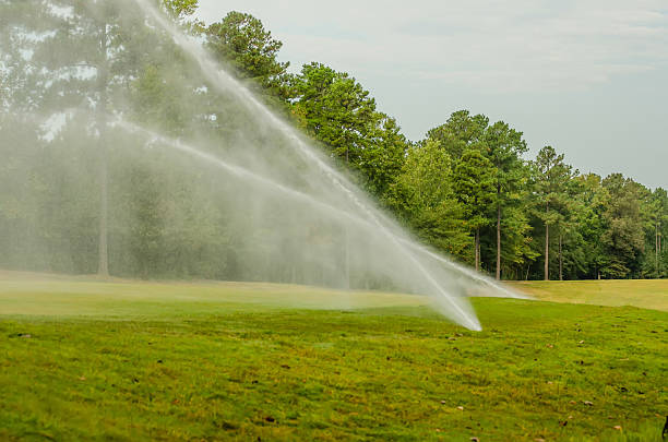 istock watering green grass lawn on golf course 451821263