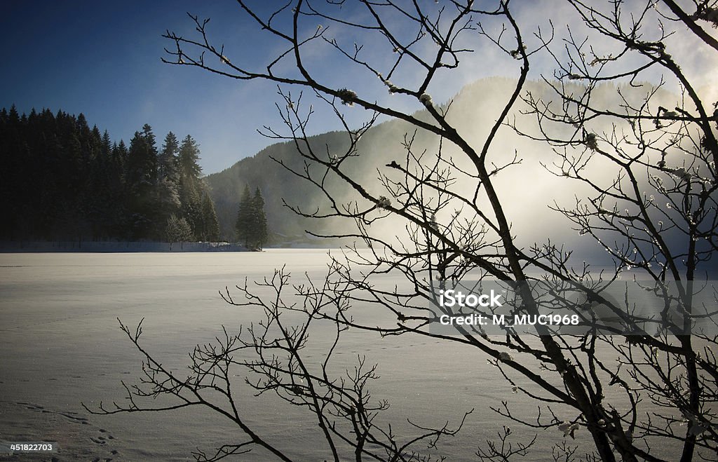 winter in the bavarian mountains Spitzingseegebiet Back Lit Stock Photo