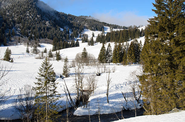 istock winter in the bavarian mountains 451822897