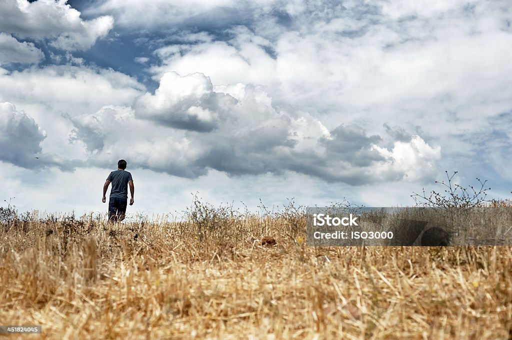 Man walking in a field Man on a long walk in the fields Agricultural Field Stock Photo