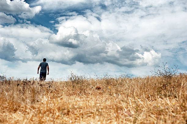 Man walking in a field stock photo
