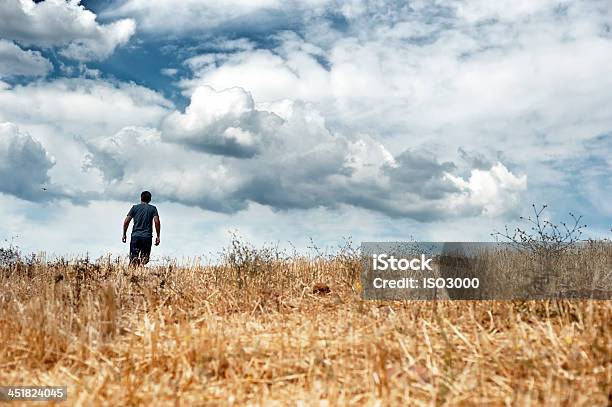 Man Walking In A Field Stock Photo - Download Image Now - Agricultural Field, Walking, Wheat