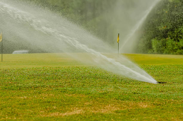 istock watering green grass lawn on golf course 451827989