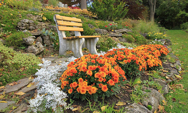 outono de flores em uma rocha-jardim de ontário, canadá - chair grass flower bed nobody - fotografias e filmes do acervo