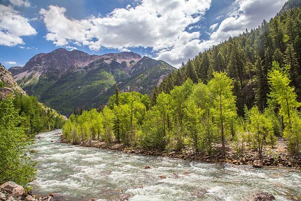 istock Animas River in Colorado 451835083