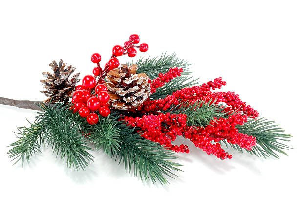 istock Christmas tree branch with red berries 451839375