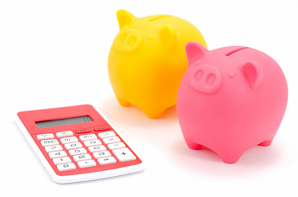 istock Piggy bank and a calculator. 451842503