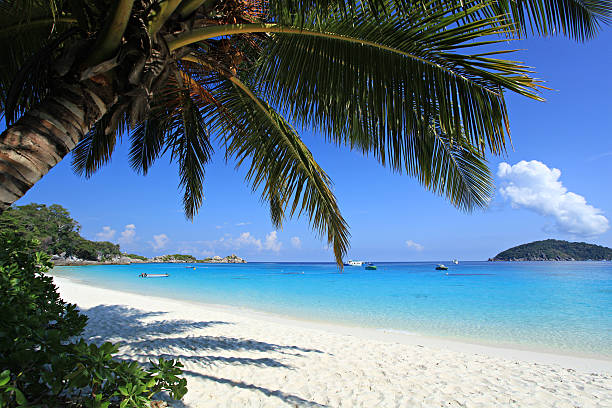 bela praia ilhas de similan islands.thailand, - phuket province - fotografias e filmes do acervo