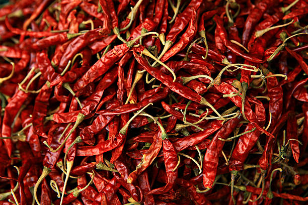 dried chillies stock photo
