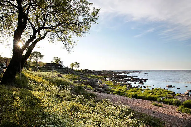 The coast of Bornholm near the small village of Listed, Denmark