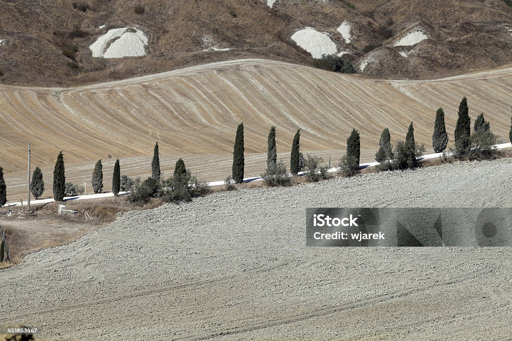Creta Senesi-paisagem da Toscana - Royalty-free Agricultura Foto de stock