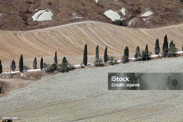 Creta Senesipaisagem Da Toscana - Fotografias de stock e mais imagens de Agricultura - Agricultura, Ajardinado, Ao Ar Livre