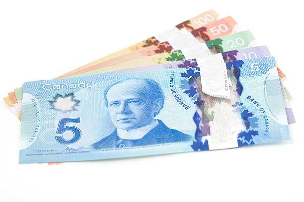 polímero nueva divisa canadiense - canadian culture canadian currency canadian dollars currency fotografías e imágenes de stock