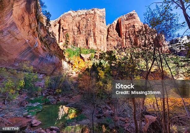 Emerald Pool Zion - Fotografie stock e altre immagini di Acqua - Acqua, Affioramento, Albero