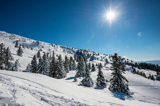 istock High Mountain Landscape in Sunny Day 451878081