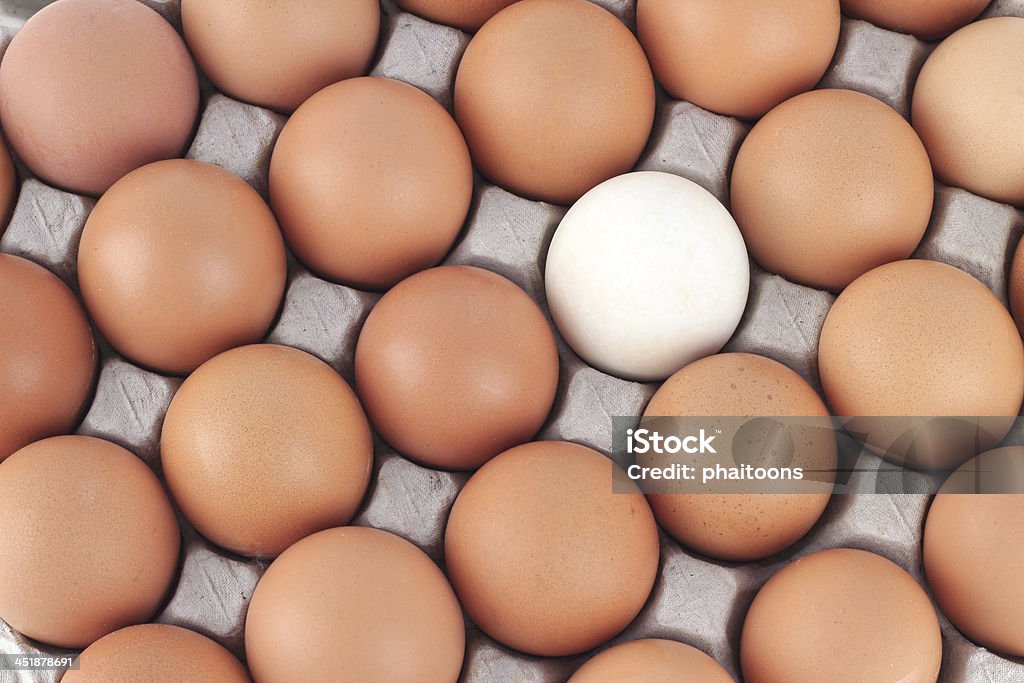 close up Eggs pattern background Abundance Stock Photo