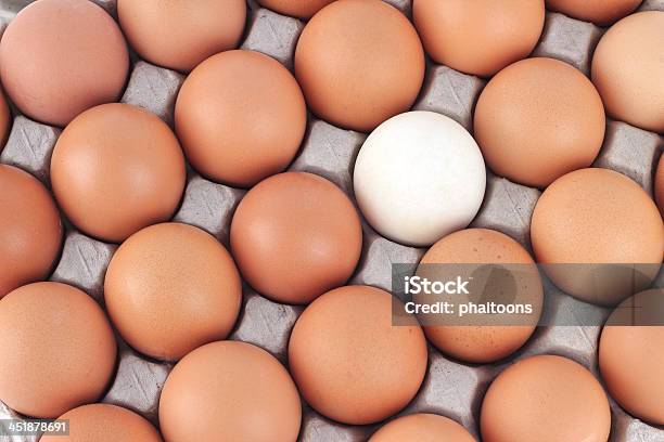Close Up Eggs Pattern Background Stock Photo - Download Image Now - Abundance, Animal, Animal Egg