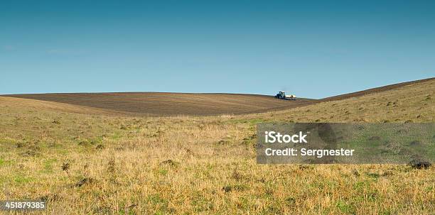 Tractor Stock Photo - Download Image Now - Agricultural Field, Agriculture, Crop - Plant