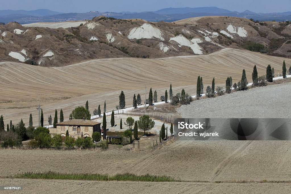 Paisaje de la Toscana - Foto de stock de Agricultura libre de derechos