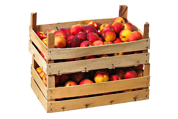 나무상자 적색-노란색 사과들 - abundance apple red yellow 뉴스 사진 이미지