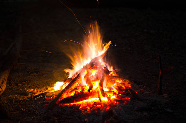 istock Flames of a campfire in the night 451886585