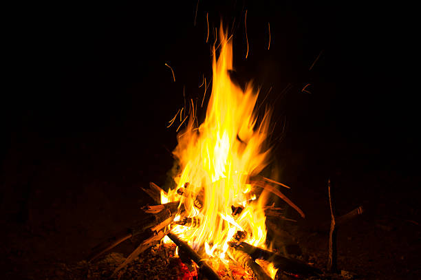 istock Flames of a campfire in the night 451889579