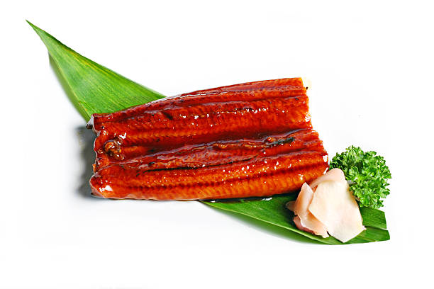 anguila pescado a la parrilla, comida japonesa - saltwater eel fotografías e imágenes de stock
