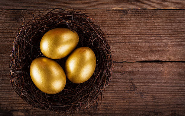 istock golden eggs in the nest 451894605