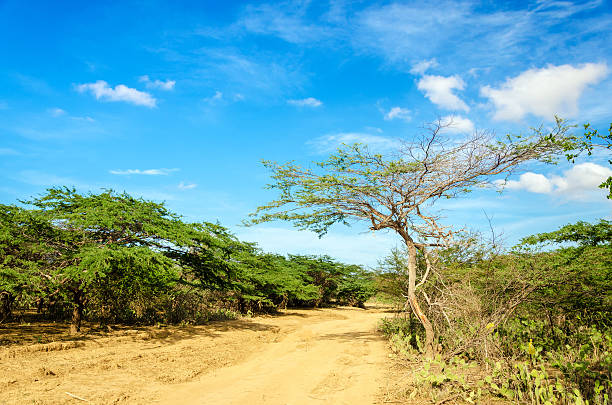 istock Dirt Road and Blue Sky 451895705
