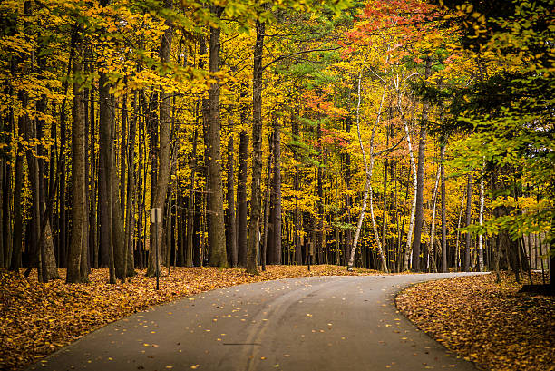 Scenic Autumn Road A scenic road in autumn with beautiful fall colors, Letchworth State Park, New York State. letchworth state park stock pictures, royalty-free photos & images