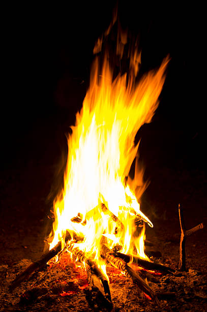 istock Flames of a campfire in the night 451901207