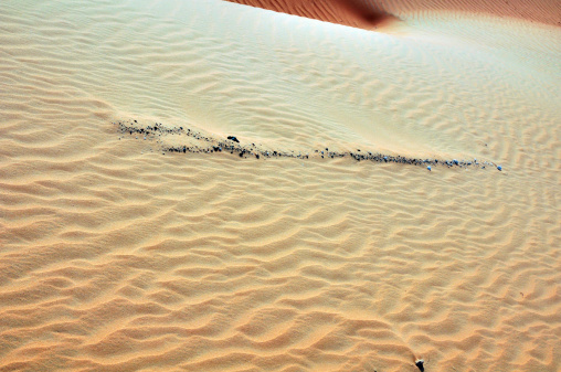 Wind-formed patters in this collection of sand in the Arabian Desert, Abu Dhabi, UAE