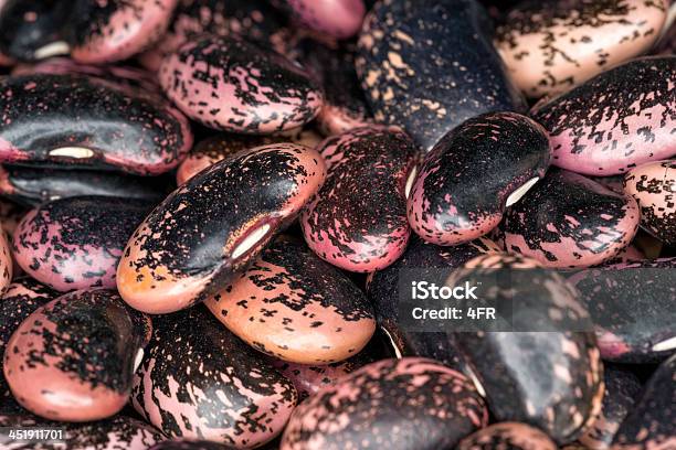 Käferbohne Scarlet Runner Bohnen Stockfoto und mehr Bilder von Bohne - Bohne, Dunkel, Extreme Nahaufnahme