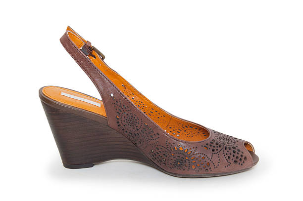 istock female shoe on a white background 451919551