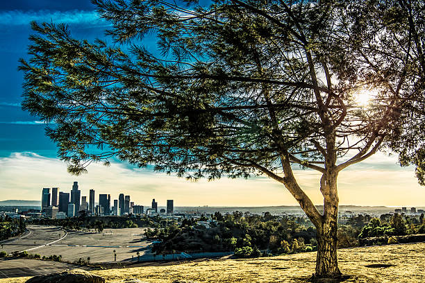 istock Golden Sunset in LA 451920023
