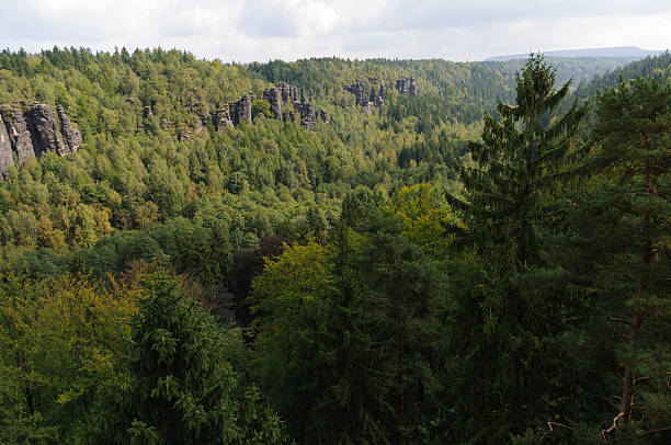 istock Saxony Switzerland, Biela vally 451923089