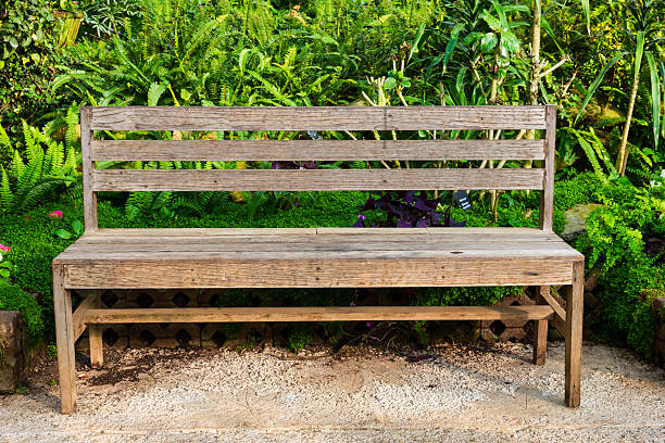 istock Wooden bench in garden 451925269
