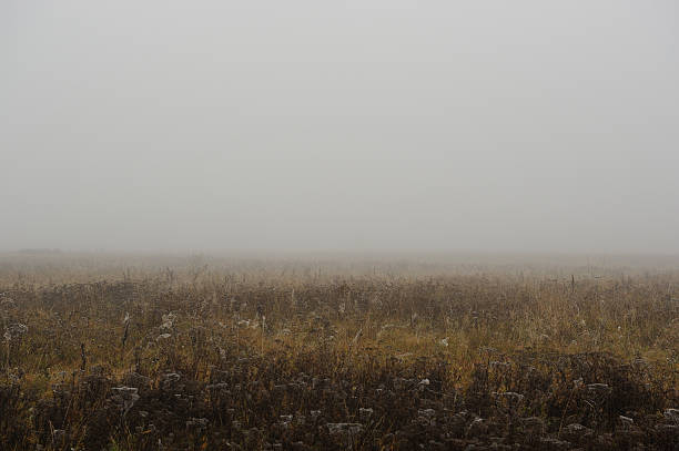 istock Foggy Autumn Morning in Countryside 451926393