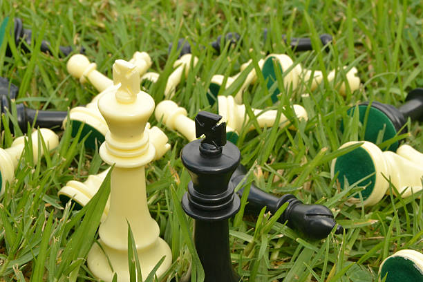 istock White and black king on green background 451929055
