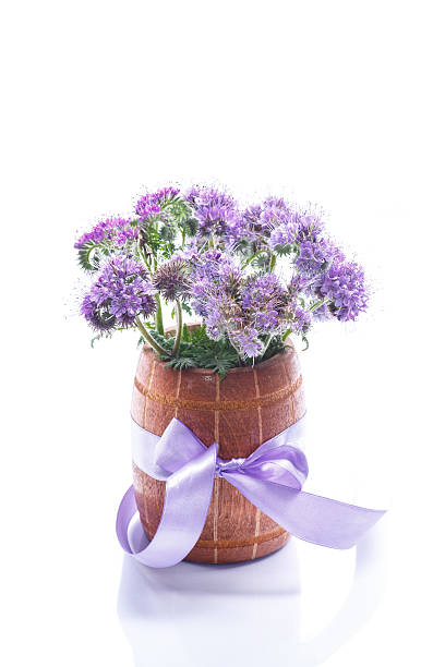 istock bouquet of flowers with blue phacelia 451943943