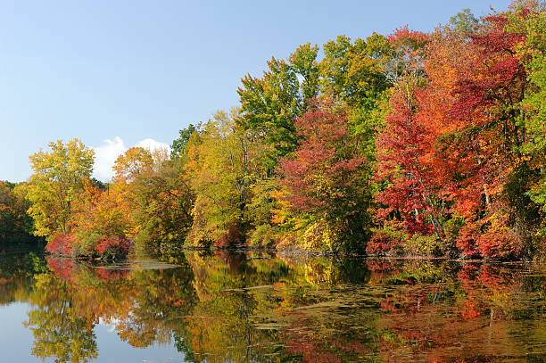 istock Autumn Colors at Hidden Lake 451960815